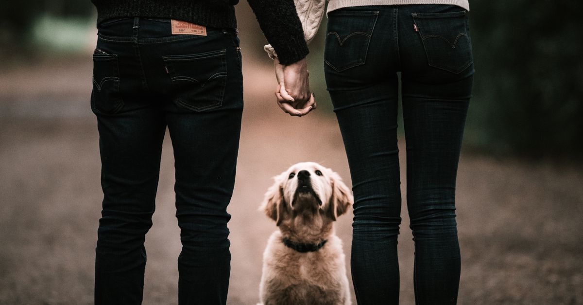 Gemeinsam ein Haustier? So findet ihr als Paar den perfekten tierischen Mitbewohner