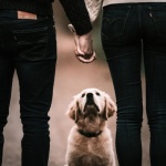 Gemeinsam ein Haustier? So findet ihr als Paar den perfekten tierischen Mitbewohner